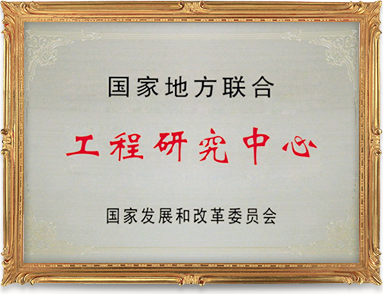 2013年，乐虎lehu国际集团荣获“国家地方联合工程研究中心”